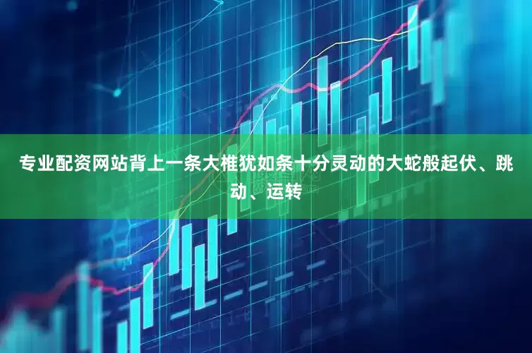 专业配资网站背上一条大椎犹如条十分灵动的大蛇般起伏、跳动、运转