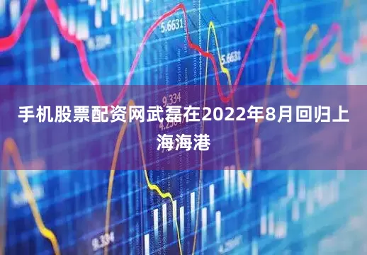 手机股票配资网武磊在2022年8月回归上海海港