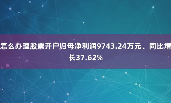 怎么办理股票开户归母净利润9743.24万元、同比增长37.62%